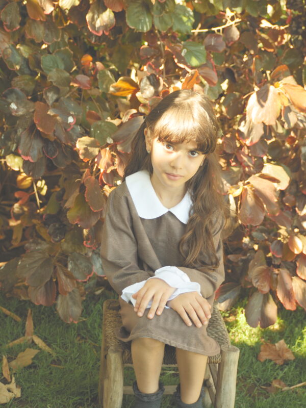 Clementine – Image 4
