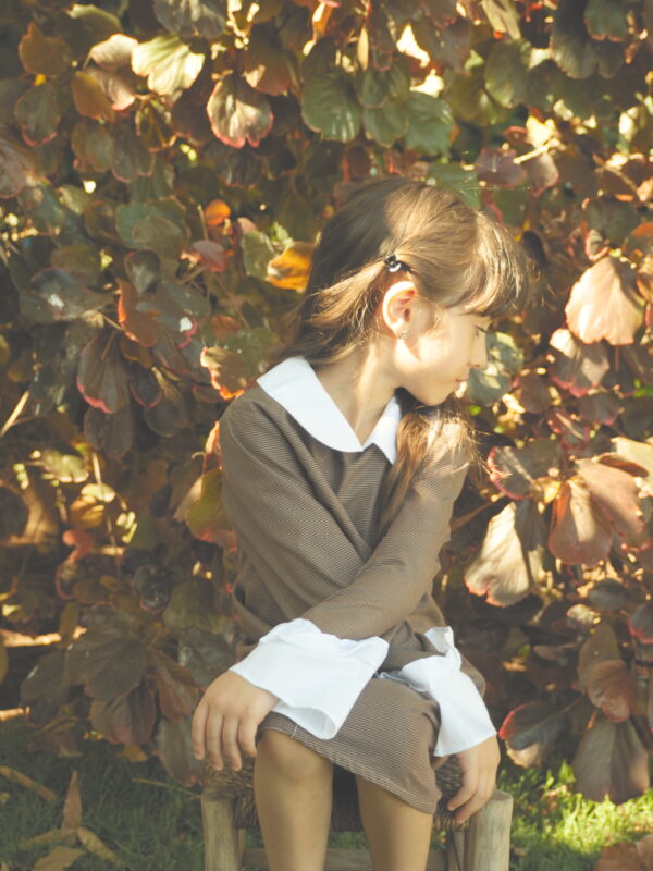 Clementine – Image 2