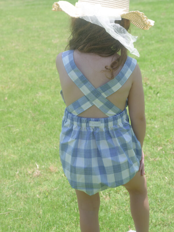Prairie Blue Body – Image 4